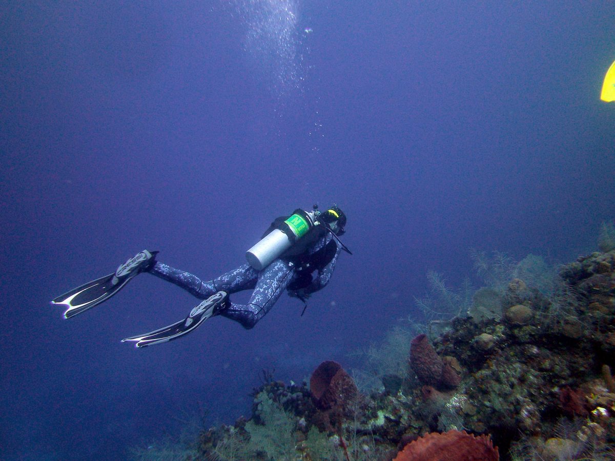 Scuba Diving in Roatan