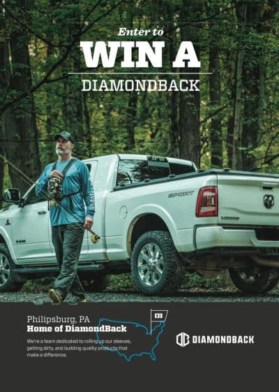 Diamondback Cover