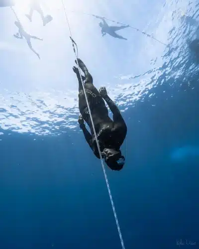 Freediving Course and More - Image 2