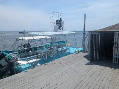 Roatan Dive and Stay Package for 2 - Image 5