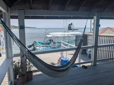 Roatan Dive and Stay Package for 2 - Image 4