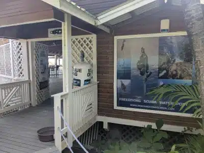 Roatan Dive and Stay Package for 2 - Image 2